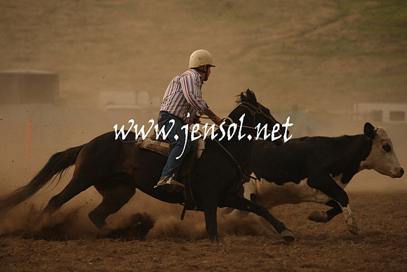 CabanandraCampdraft2013_1D_1046