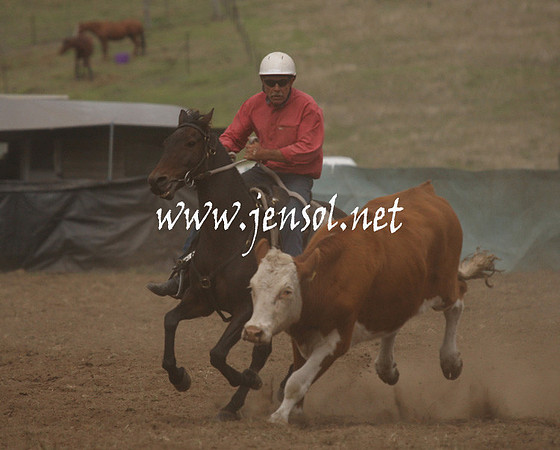 CabanandraCampdraft2013_1D_0970