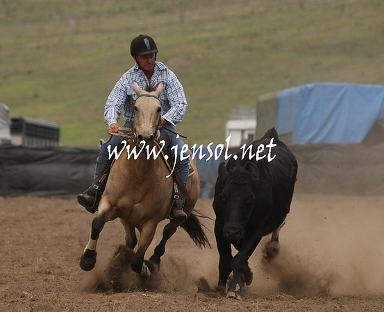 CabanandraCampdraft2013_1D_0939