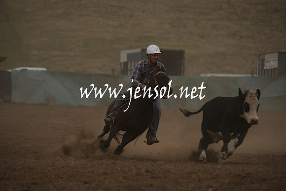 CabanandraCampdraft2013_1D_0997