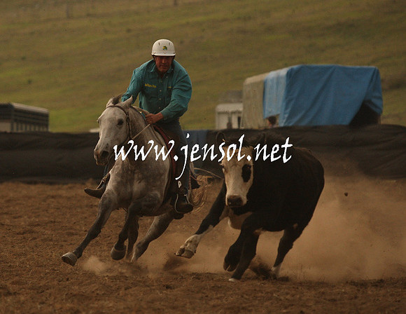 CabanandraCampdraft2013_1D_1053