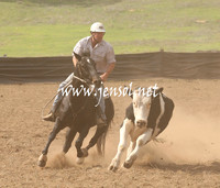 CabanandraCampdraft2013_1D_0913