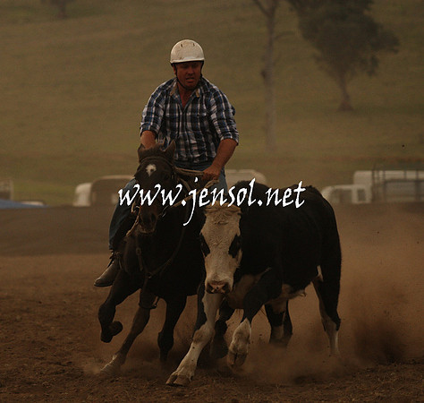 CabanandraCampdraft2013_1D_1016