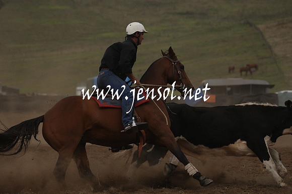 CabanandraCampdraft2013_1D_0993