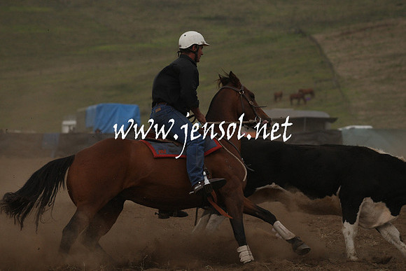 CabanandraCampdraft2013_1D_0994