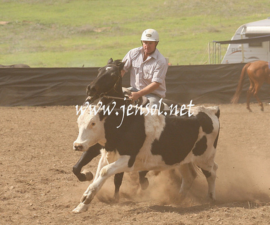 CabanandraCampdraft2013_1D_0910