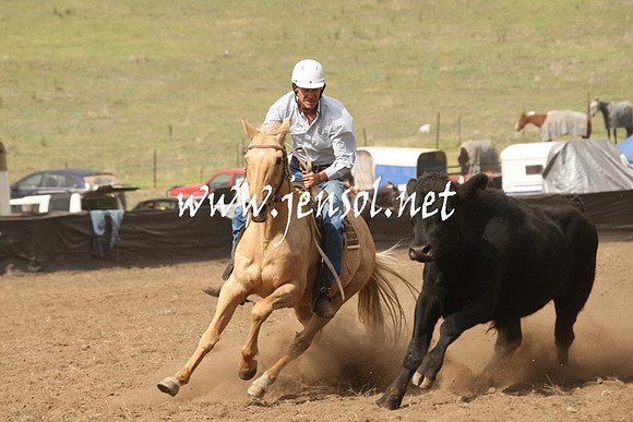 CabanandraCampdraft2013_1D_0933