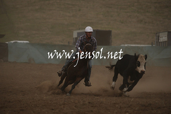 CabanandraCampdraft2013_1D_0996