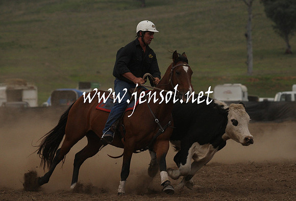 CabanandraCampdraft2013_1D_0991