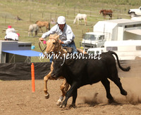 CabanandraCampdraft2013_1D_0929