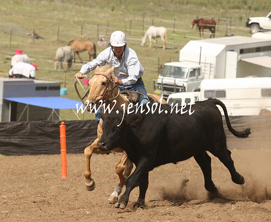 CabanandraCampdraft2013_1D_0929
