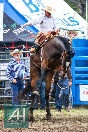 MoruyaRodeo2018_4022