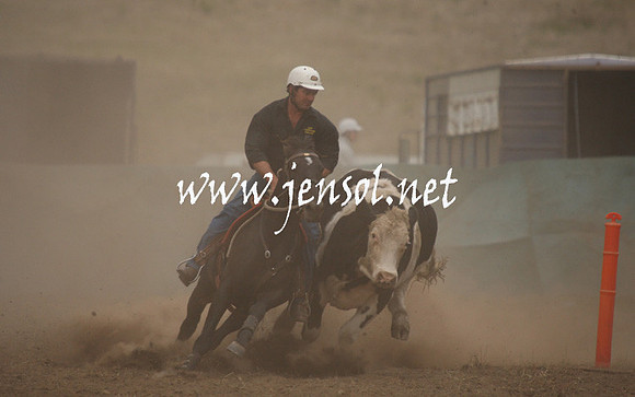 CabanandraCampdraft2013_1D_0960