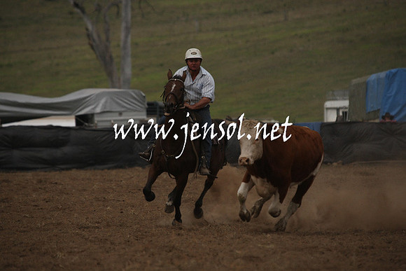 CabanandraCampdraft2013_1D_0976