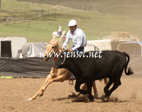 CabanandraCampdraft2013_1D_0928