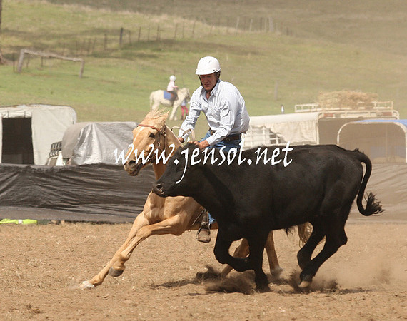 CabanandraCampdraft2013_1D_0928
