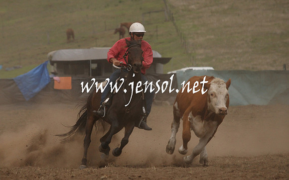 CabanandraCampdraft2013_1D_0972