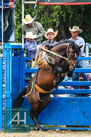 MoruyaRodeo2018_4076