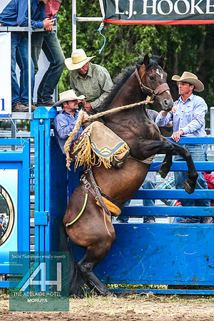MoruyaRodeo2018_4075