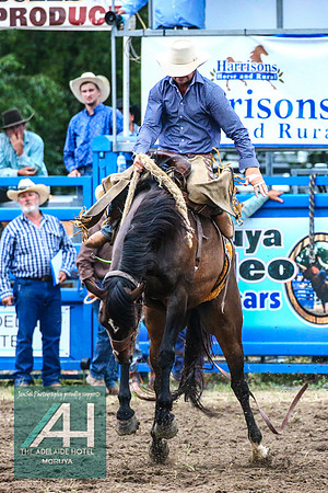MoruyaRodeo2018_4083