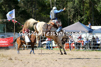 PictonRodeo2015_1568