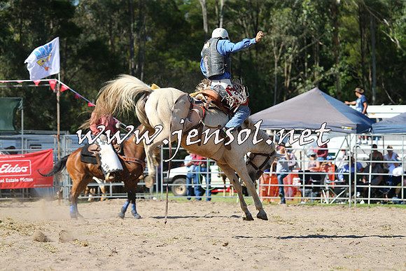 PictonRodeo2015_1568