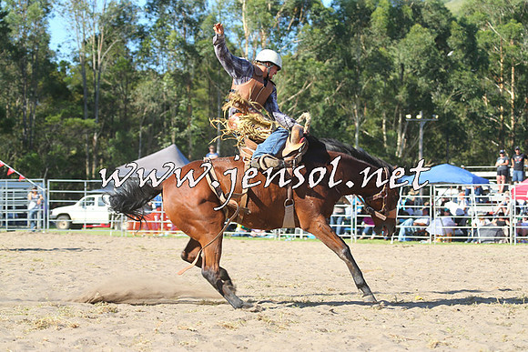 PictonRodeo2015_1841
