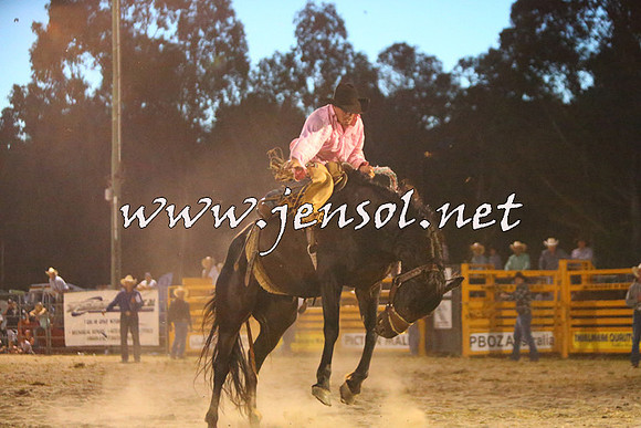 PictonRodeo2015_3044