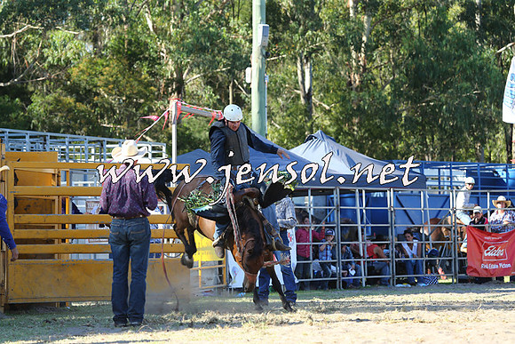 PictonRodeo2015_1853