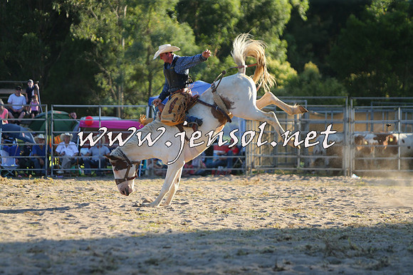 PictonRodeo2015_2189