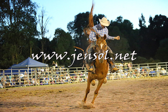 PictonRodeo2015_3007