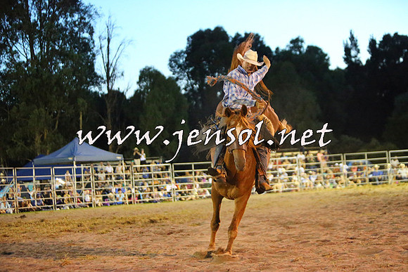 PictonRodeo2015_3005