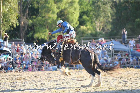 PictonRodeo2015_2247