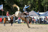 PictonRodeo2015_1582
