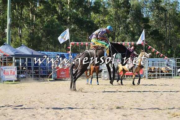 PictonRodeo2015_1591