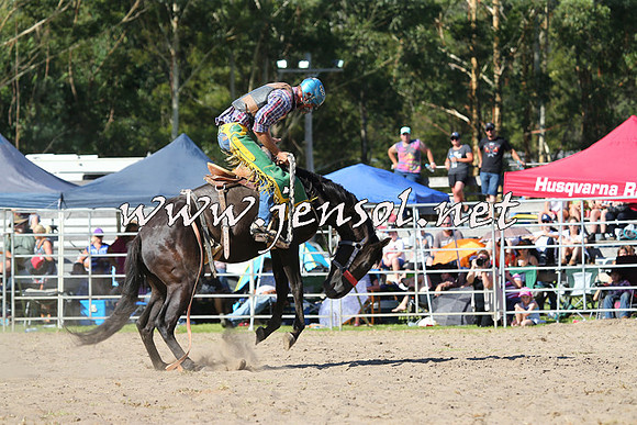 PictonRodeo2015_1610