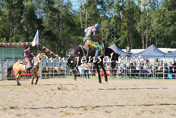 PictonRodeo2015_1595