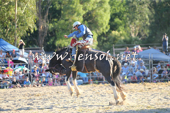 PictonRodeo2015_2242