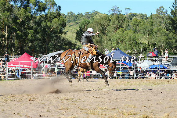 PictonRodeo2015_1813