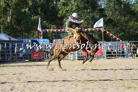 PictonRodeo2015_1800