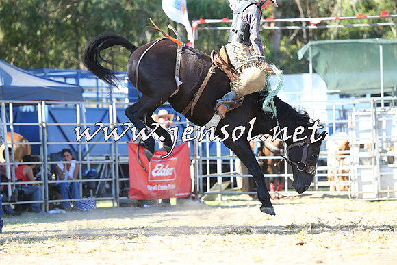 PictonRodeo2015_1896