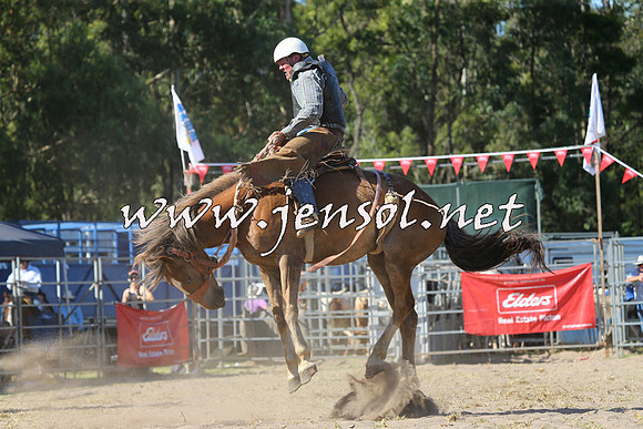 PictonRodeo2015_1662