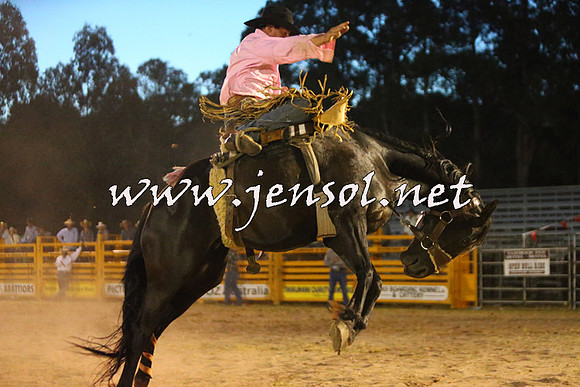 PictonRodeo2015_3061