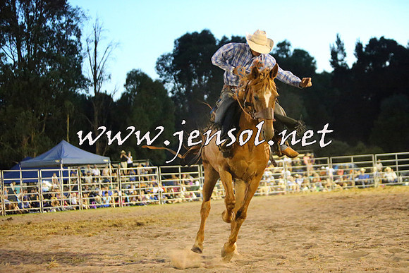 PictonRodeo2015_3008