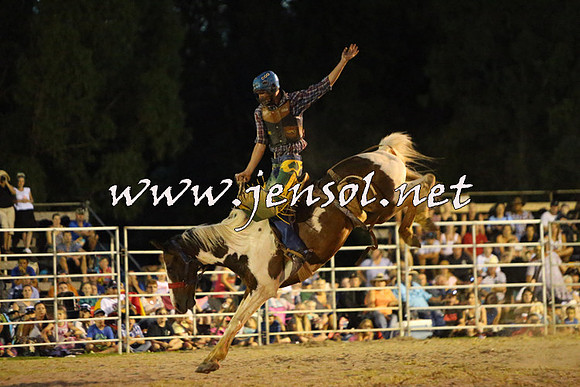 PictonRodeo2015_3026