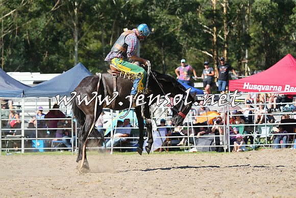 PictonRodeo2015_1605