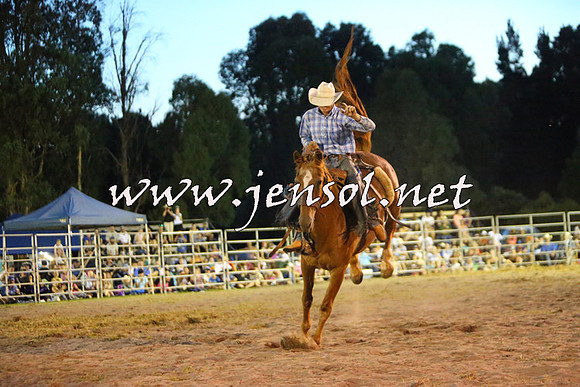 PictonRodeo2015_3006