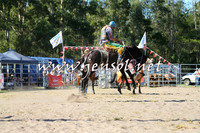 PictonRodeo2015_1590