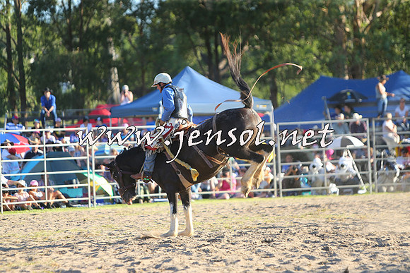 PictonRodeo2015_2259