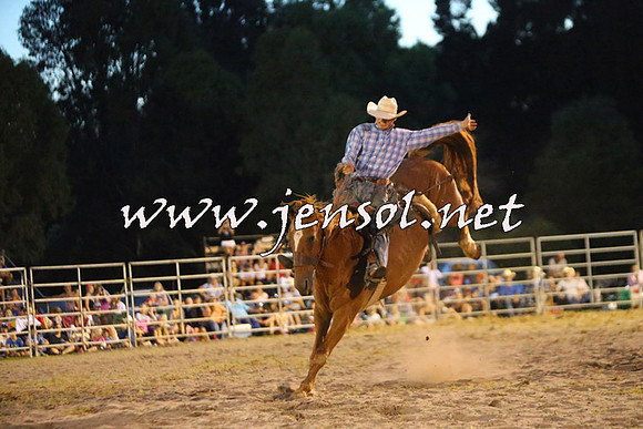 PictonRodeo2015_2993